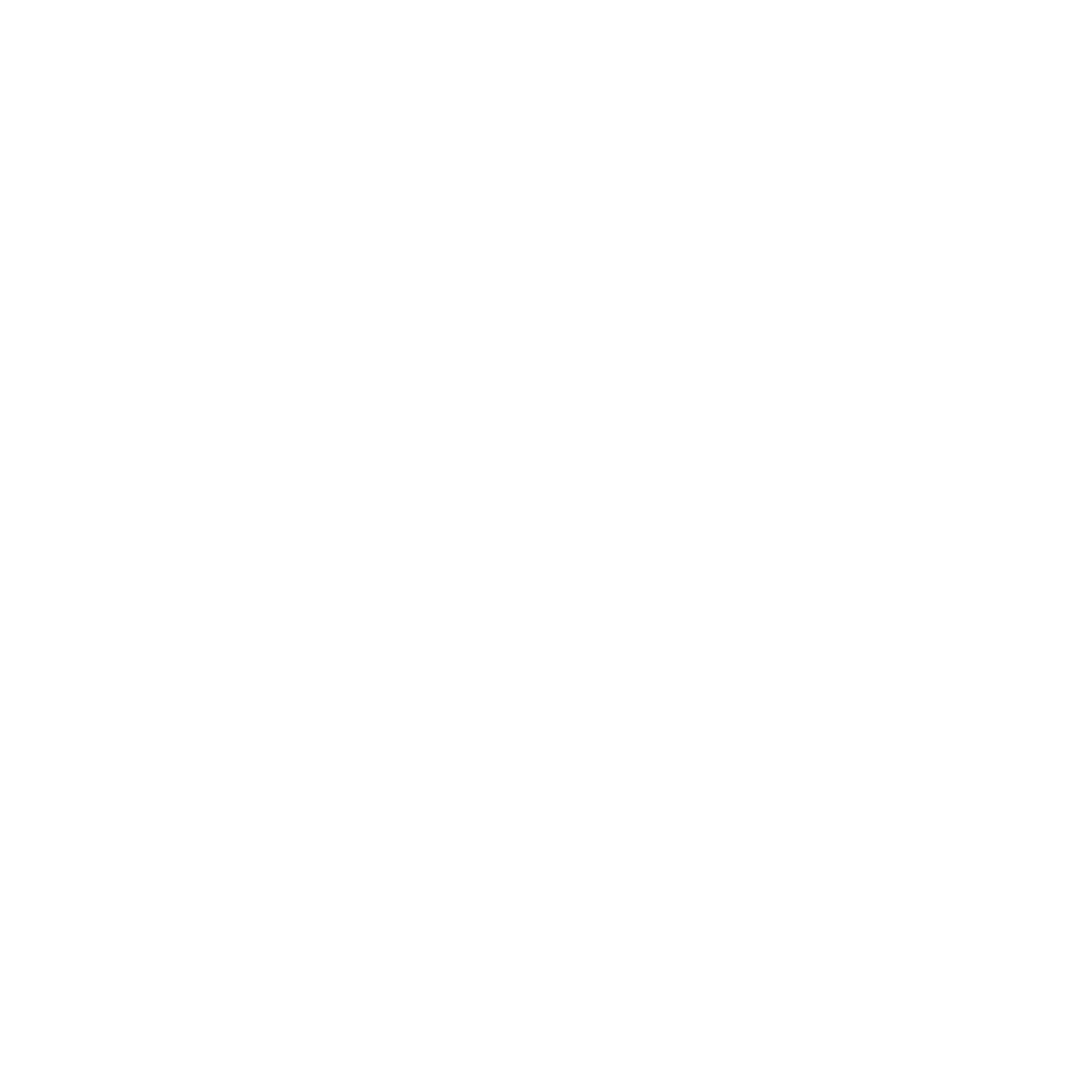 2 Alpes Snowboard School