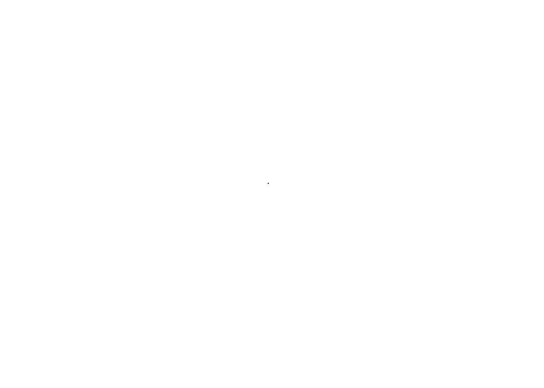 2 Alpes Snowboard School